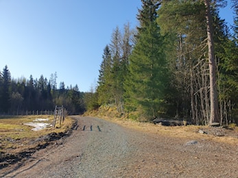 Kaffeservering ved Botnmyra søndag 14.mai